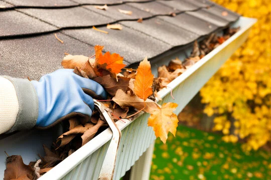 "Hand wearing a blue glove cleaning dry leaves and debris from a white roof gutter"